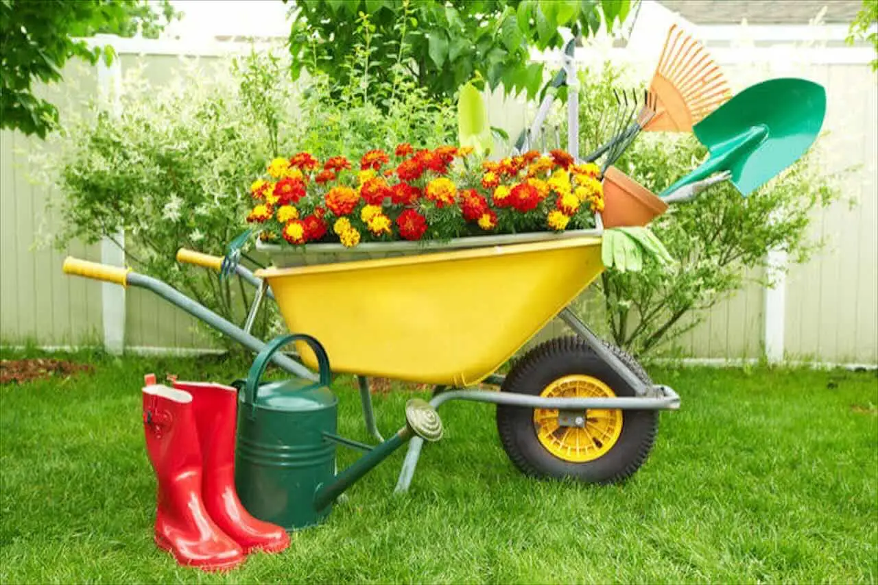 Idee regalo per gli amanti del giardinaggio: ecco gli attrezzi indispensabili che forse non hanno