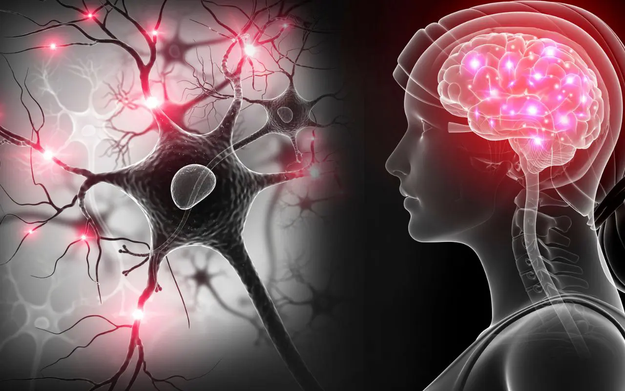 Che cos’è un ictus cardiovascolare? Ecco come prevenirlo prima che sia troppo tardi