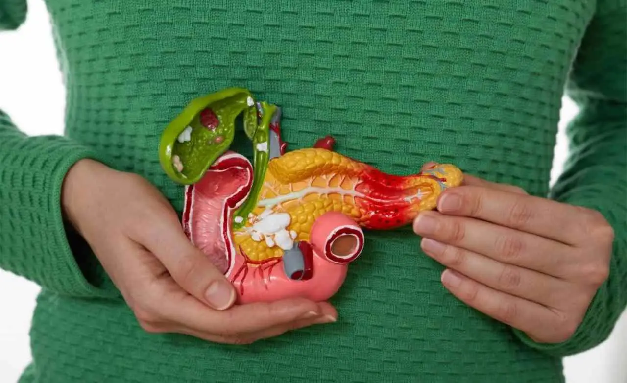 Il trucco per proteggerti dai tumori: ecco cosa mangiare ogni giorno