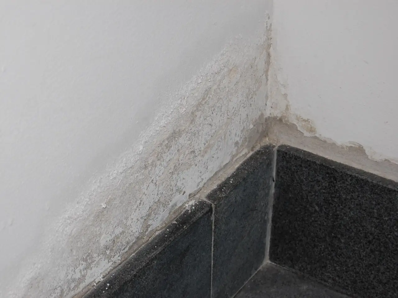 La tua casa è troppo fredda e umida? Ecco il trucco definitivo per risolvere senza lavori